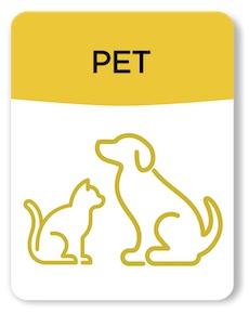 Pet identification tags and collars