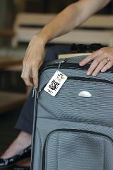 Savvy Traveler Starter Kit: An Assortment of Popular QR Smart Tags
