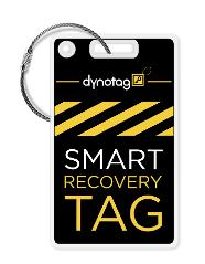 Fashion Luggage Tags - 2 Identical Tags+Chains (Bumblebee)